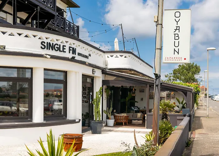 Hôtel accueillant les animaux: Single Fin Hotel & Lodge